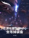 ����Ϸ��αװNPC�����ȵ�װ��